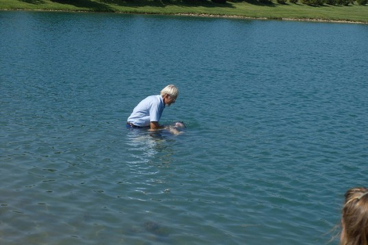 individual baptism by douglas coulter